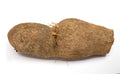 Fresh Yellow Yam, 5 Pound Box